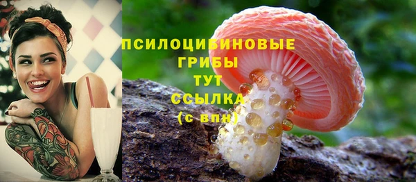 a pvp Абинск
